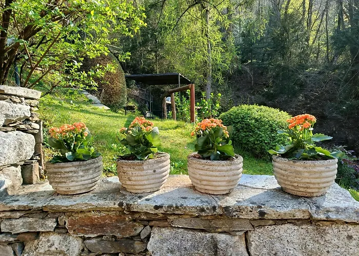 Cascina Nel Bosco Pensionat