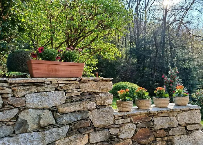 Cascina Nel Bosco Pensionat